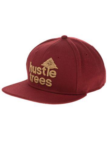Caps
						LRG Hustle Tree Cap